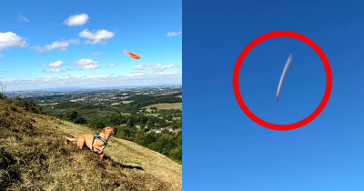 108720 thatviralfeed.com smallv2small 607155