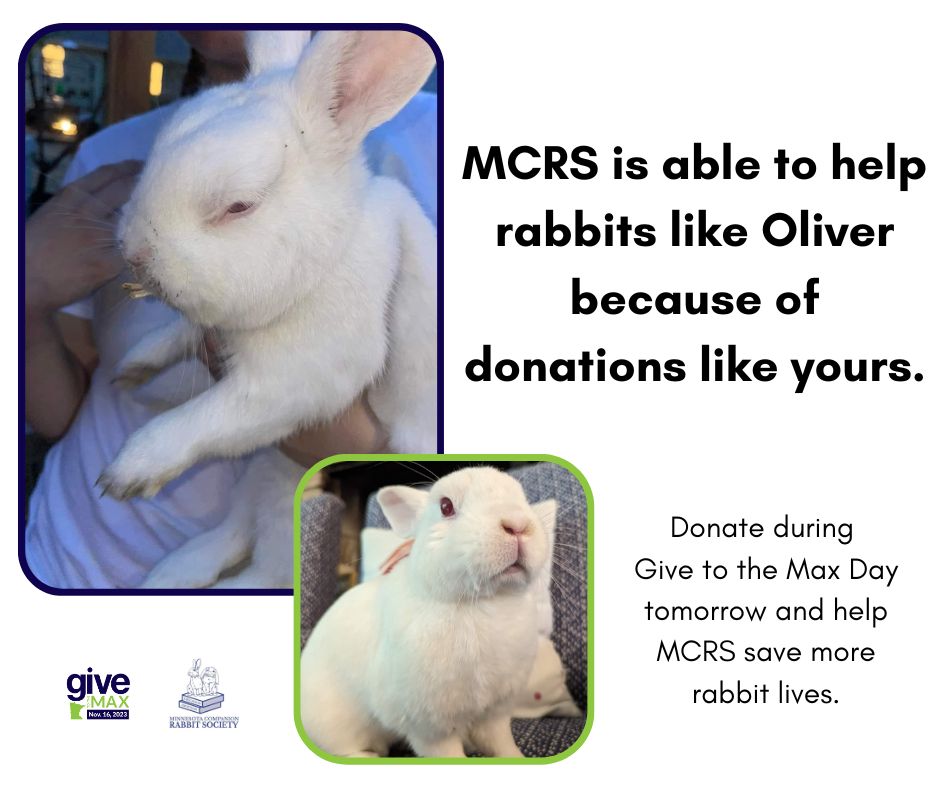 "Super nice experience" donating rabbit to zoo predators. 4 1700010104924