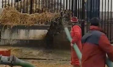 Farmers' Manure Protest Divides Opinion in France 4 OIP 20