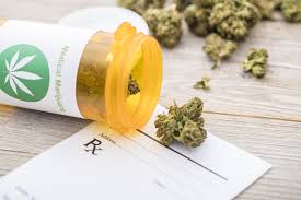 Scientists Warn Cannabis Is Now Much Stronger And Poses Greater Health Risks 4 images 16 1