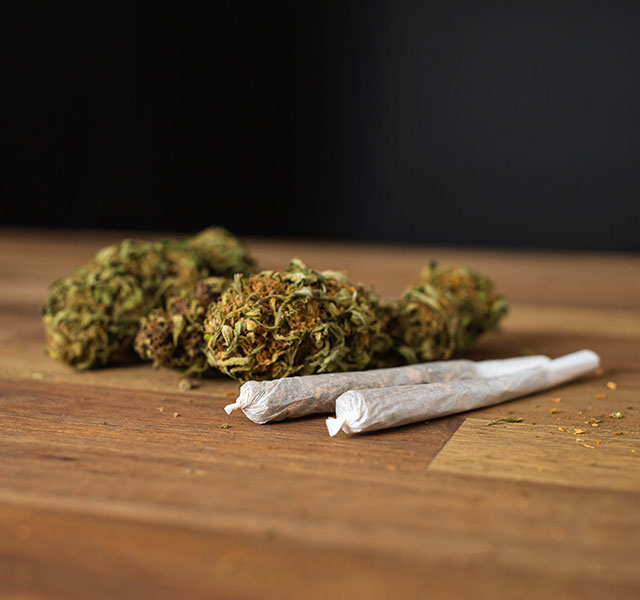 Scientists Warn Cannabis Is Now Much Stronger And Poses Greater Health Risks 3 marijuana and voice