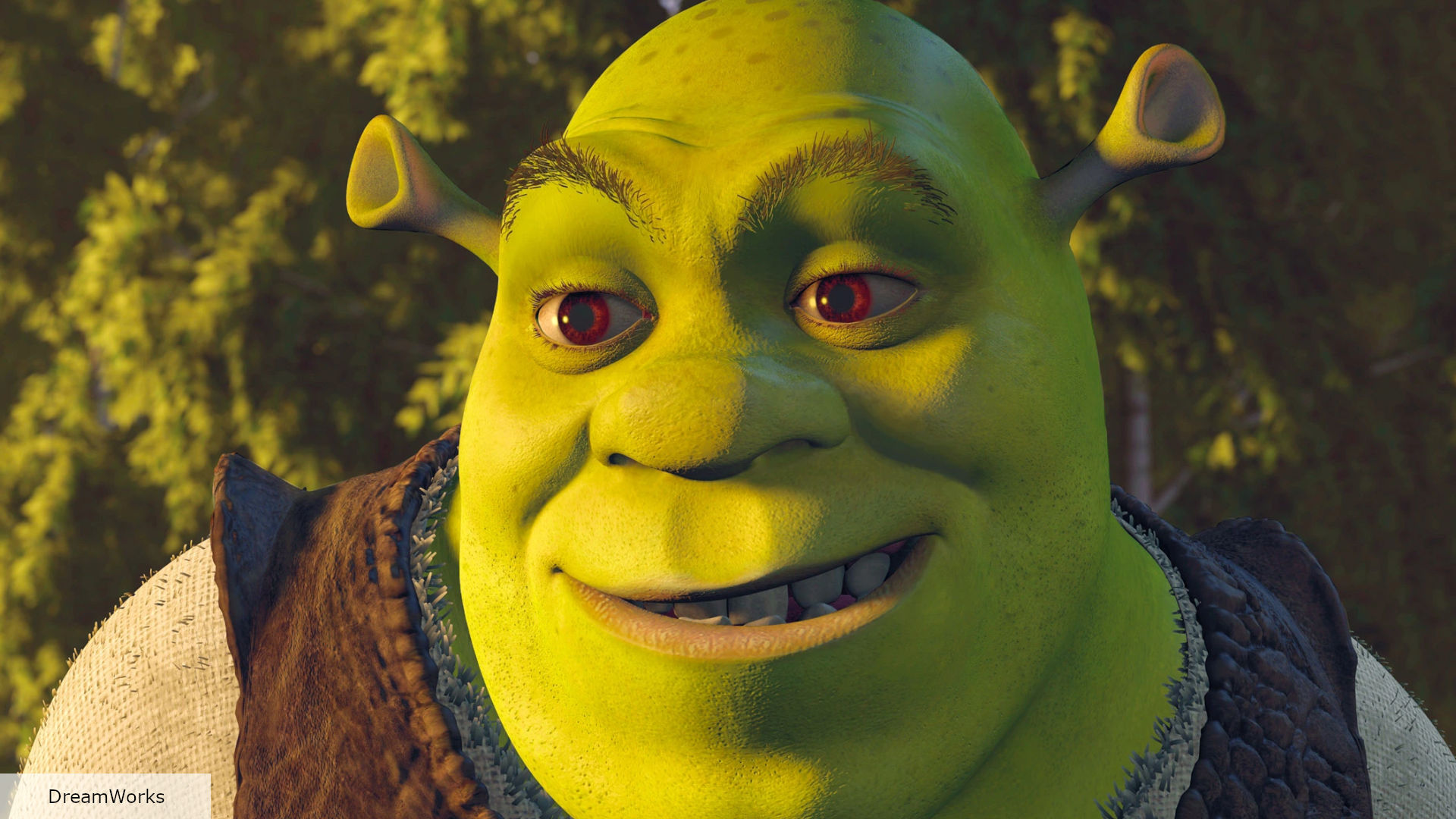 Shrek Fans Revive Theory About Donkey's Secret Past -- Could He Have Been Human? 2 shrek movie